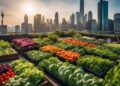 Farm City Revolutionizes Food Security