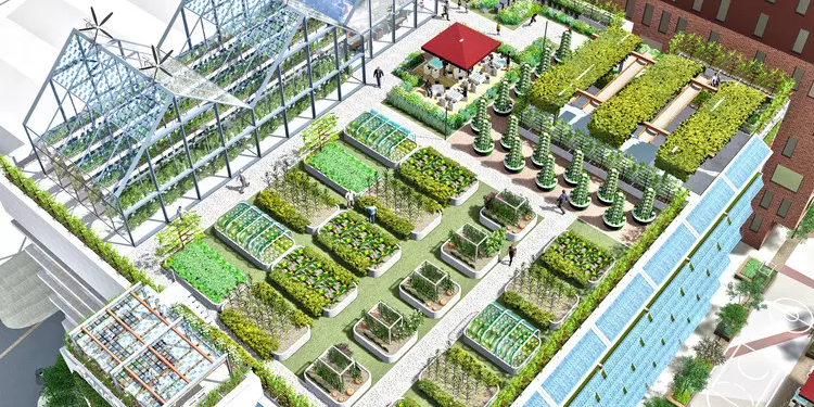 Agrihoods: The Future Farm City